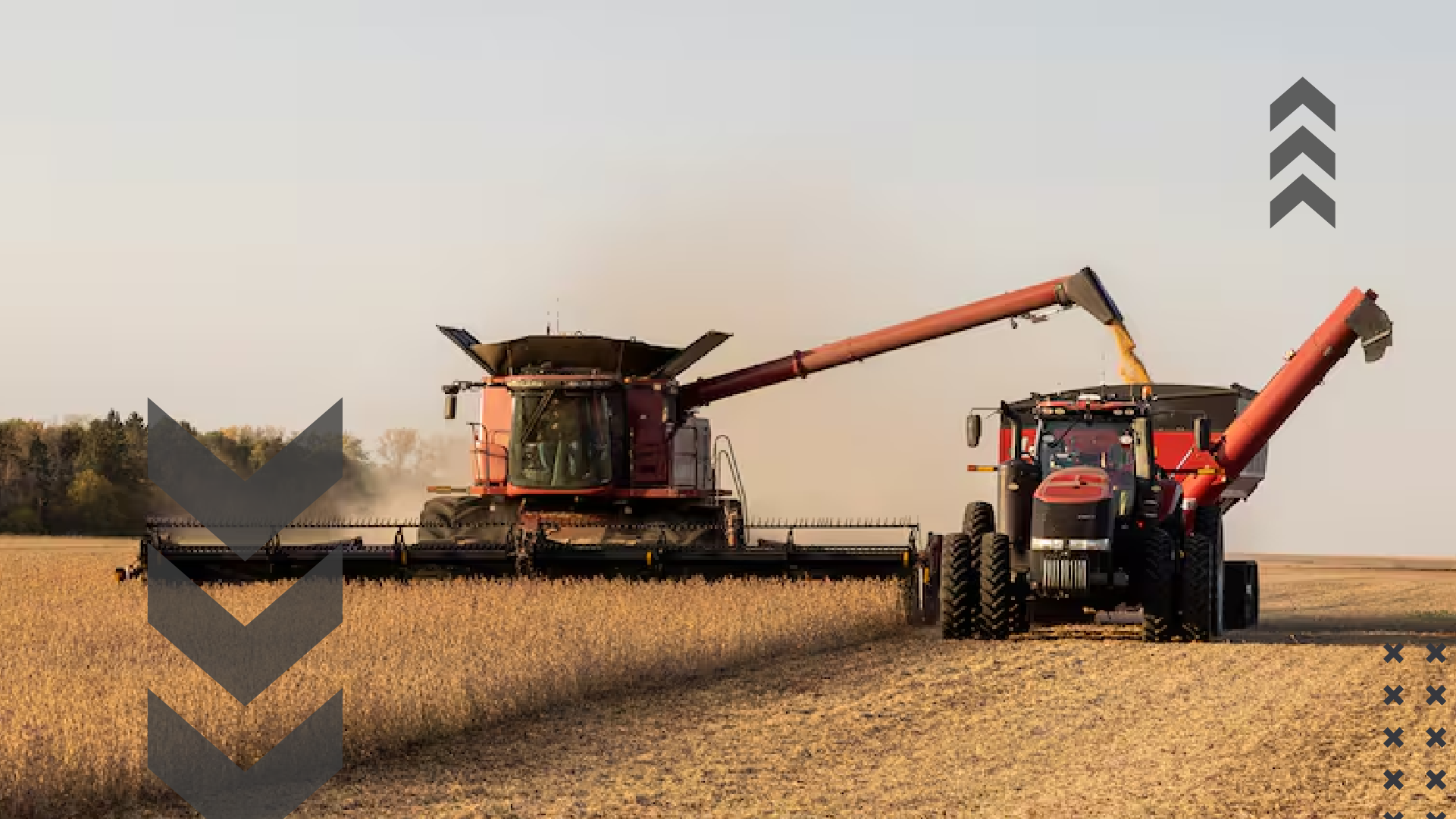 Rodamientos Agrícolas